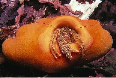 3DM速报：21周年复刻“精神鸦片”？“给她爱 5”销量破1.5亿份