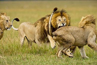 《最终幻想7：重生》总监透露 续作中可操作文森特和希德